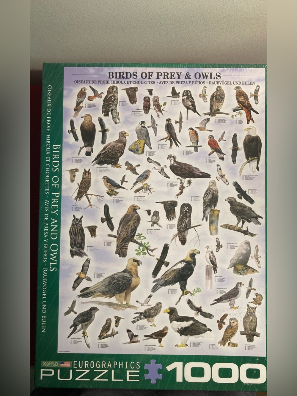 Euro Graphics Birds of Prey and Owls 1000-Piece Puzzle - unopened